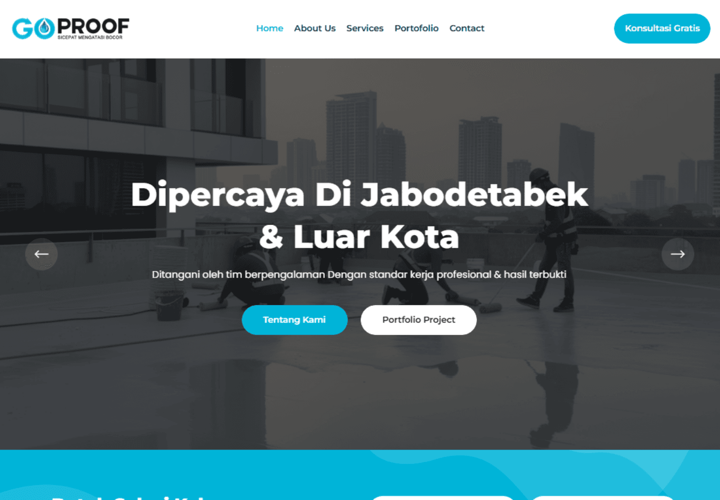 Website preview for GoProof